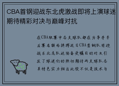 CBA首钢迎战东北虎激战即将上演球迷期待精彩对决与巅峰对抗