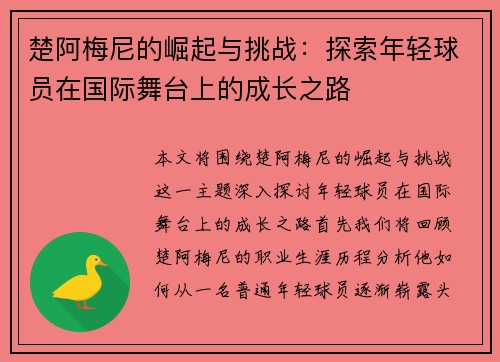 楚阿梅尼的崛起与挑战：探索年轻球员在国际舞台上的成长之路